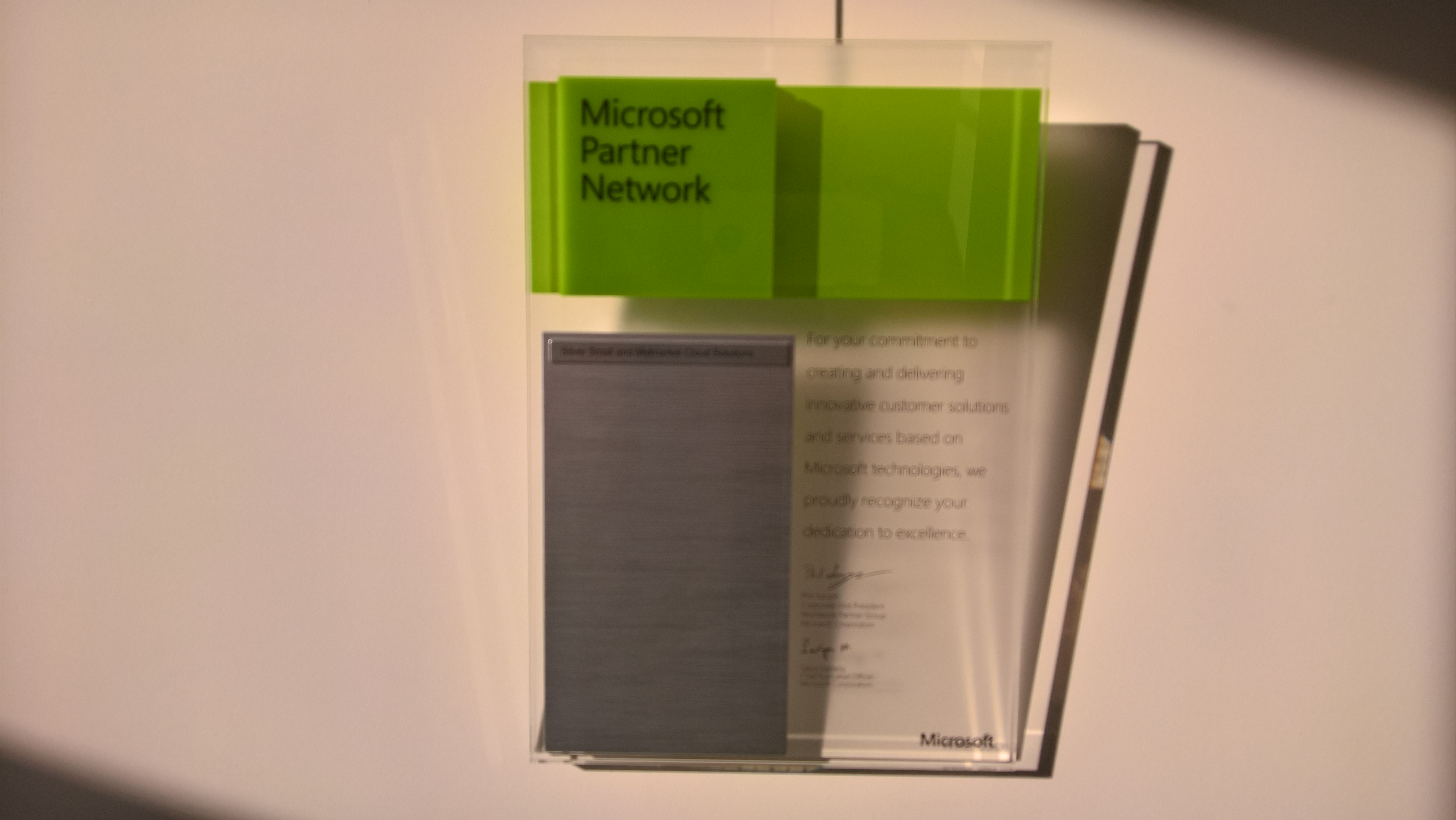 Microsoft partner